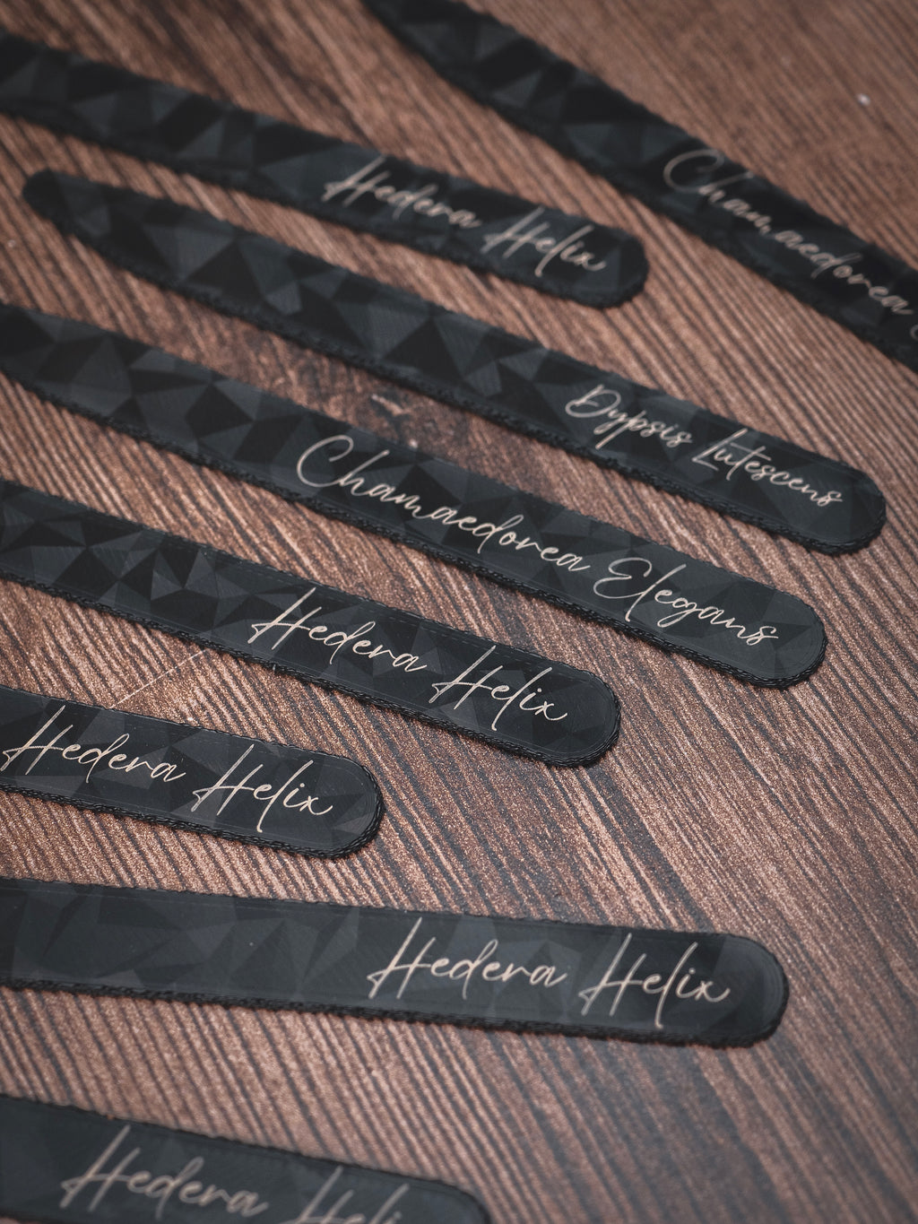 Pflanzenstecker in schwarz | personalisierbar